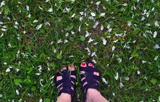 jambes d'une fille, pelouse et pétales d'un pommier. les pieds de la fille en sandales se tiennent sur la pelouse, les pétales de pommier reposent sur le sol. photo