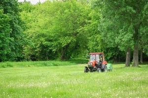 tondeuse à gazon tracteur tond l'herbe photo