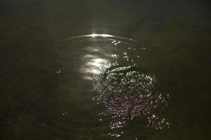 cercles sur l'eau. éclaboussures dans le lac. surface de l'eau. photo