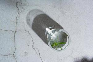 verre avec de l'eau rafraîchissante et du romarin sur la table à l'ombre des feuilles d'arbres. vue de dessus photo