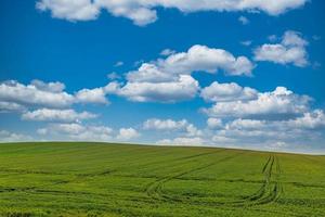 ciel bleu heureux, horizon et champs agricoles. paysage nature printemps été tranquille. prairie verte de colline agricole idyllique. paisible énergie positive, bonne humeur ensoleillé rural. campagne calme et reposante photo