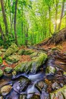 cascades sur le ruisseau clair en forêt. paysage de ruisseau de montagne d'été, douce lumière du soleil. randonnées et voyages en plein air aventure bois, ruisseau calme. closeup nature sereine, rochers, arbres verts frais de mousse photo