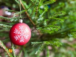 Boule rouge sur les brindilles de l'arbre de Noël vivant photo