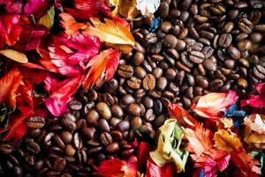 l'image de fond est faite de grains de café décorés de fleurs. concept de fond pour café photo