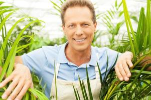 jardinier heureux. bel homme mûr regardant à travers les plantes et souriant photo