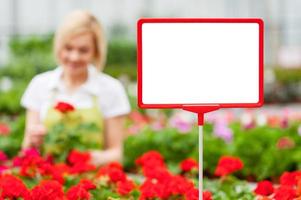 copiez l'espace pour votre message. gros plan de l'espace de copie sur l'enseigne commerciale avec une femme arrangeant des fleurs sur le fond photo