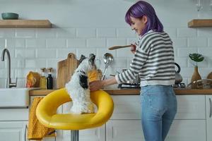 vue arrière d'une jeune femme cuisinant à la cuisine pendant que son petit chien est assis près d'elle photo