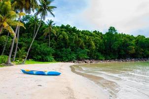 plage tropicale exotique avec sable blanc et eaux bleues photo