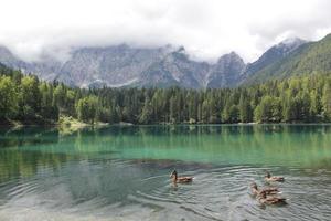 vue sur les Alpes italiennes photo