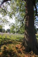 cimetière national d'Arlington photo
