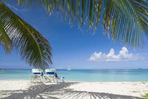 palmier et chaises sur une plage avec près de l'eau bleue