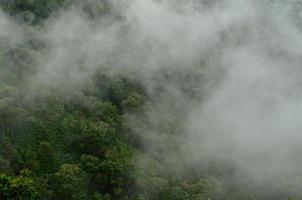 Montagne dans le brouillard, Chiang Mai, Thaïlande photo