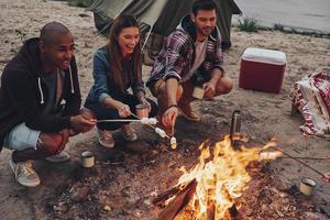 laissez tous vos soucis derrière vous. vue de dessus de jeunes en vêtements décontractés rôtissant des guimauves sur un feu de camp tout en se reposant près du lac photo