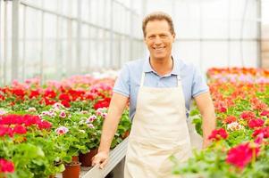 jardinier. bel homme mûr debout dans un lit de fleur et souriant photo