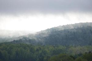 collines couvertes d'arbres verts dans la brume photo