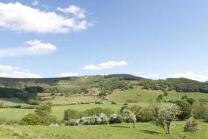 les collines du bourg helmsley photo