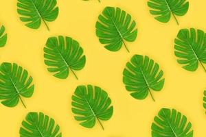 les feuilles de palmier tropical monstera se trouvent sur un papier de couleur pastel. modèle de concept d'été nature. composition à plat. vue de dessus photo