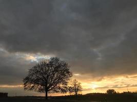 paysage d'un beau parc et nature d'automne avec des arbres au coucher du soleil photo