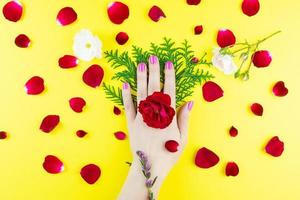 mains de beauté avec des fleurs de maquillage photo