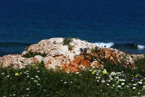 pierres dans un parc de la ville au bord de la mer dans le nord d'israël photo