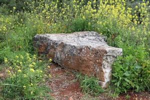 pierres dans un parc de la ville au bord de la mer dans le nord d'israël photo