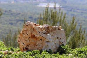 pierres dans un parc de la ville au bord de la mer dans le nord d'israël photo