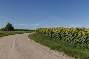 route goudronnée étroite pour les voitures photo