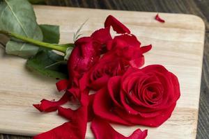une belle rose rouge coupée en morceaux photo