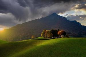 colline avec des arbres photo