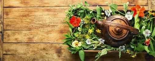 tisane, fleurs et herbes, herbes médicinales photo