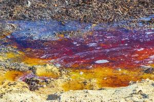 eau de plage très dégoûtante avec algues rouges sargazo caraïbes mexique. photo