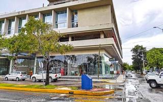 playa del carmen quintana roo mexique 2021 ouragan 2021 playa del carmen mexique destruction dévastation arbres cassés. photo