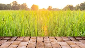 beau plancher en bois et fond de nature de champ de riz vert, fond de vitrine debout de produit agricole photo