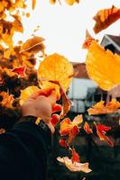 écorcher les feuilles en automne photo