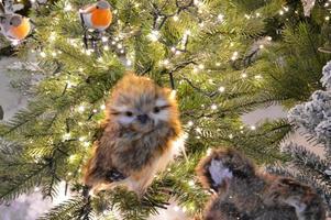 un hibou est assis dans des branches de sapin. forêt d'hiver. joli paysage avec oiseau. chouette pelucheuse, ses ailes dans la neige. bel oiseau aux yeux brillants. bonne chouette le soir de noël photo