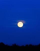 la pleine lune se lève à hansweert zeeland, pays-bas. photo