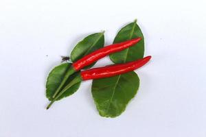 feuille de bergamote et piment avec mouche sur fond blanc photo