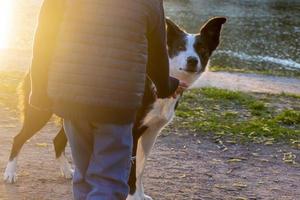 chien mignon avec un garçon sur le fond de la rive photo