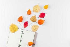 cahier avec des fleurs et des feuilles séchées volantes photo