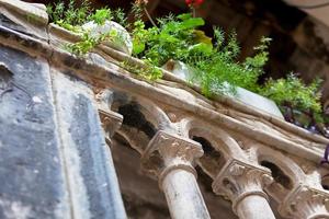 ancienne balustre de balcon en pierre avec plantes vertes photo