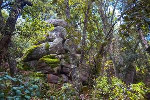 tas de pierres dans la forêt du camp d'el penion dans la sierra de lobos à leon guanajuato photo