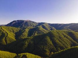 vue imprenable sur la vallée et la forêt depuis les airs photo