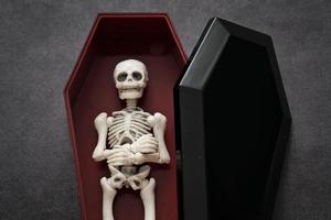 squelette dans le cercueil photo