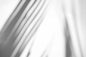 feuilles de palmier tropical superposition d'ombre naturelle sur fond de texture blanche, pour la superposition sur la présentation du produit, la toile de fond et la maquette, concept saisonnier d'été, style de tendance minimal photo