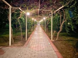 tunnel de plantes naturelles arc vivant de buissons et de fleurs la nuit dans un pays tropical chaud de l'est du sud photo