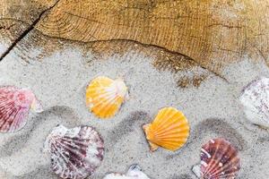 planche de sable de coquillages colorés