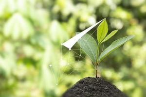 un vert vu de la nature pousse à partir du sol, pour une technologie écologique avec une croissance de petits arbres dans la nature et de belles lignes d'effets huds photo