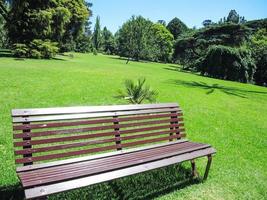 banc de parc avec le beau jardin verdoyant au printemps. photo