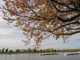 dusseldorf et le rhin photo