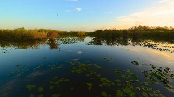 marais du parc national des Everglades photo